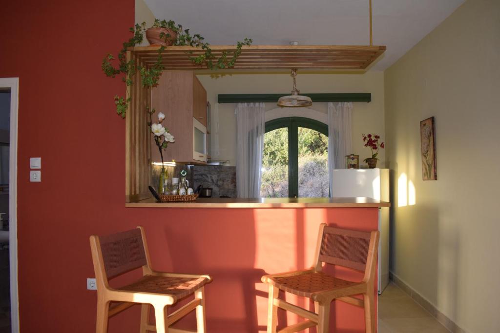 Bellevue Apartment